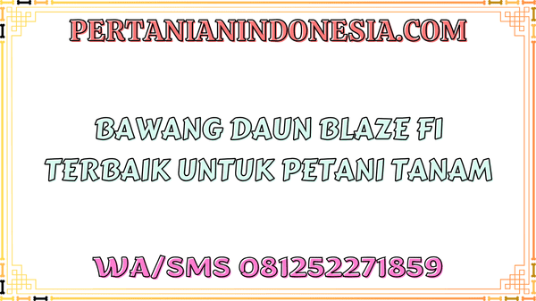 Bawang Daun Blaze F1 Terbaik Untuk Petani Tanam